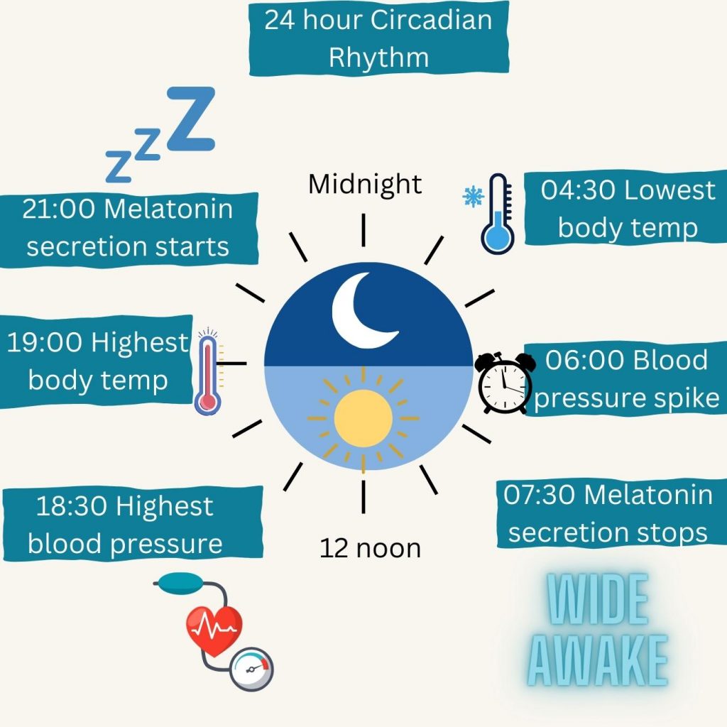 Health Hacks Reset Your Circadian Rhythm For Better Sleep Skelian