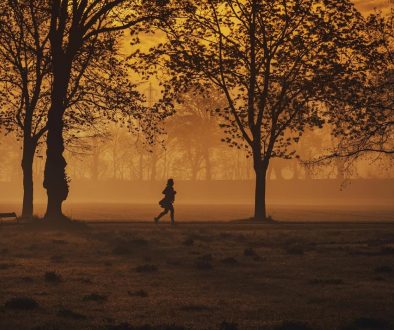 Cheltenham running loops