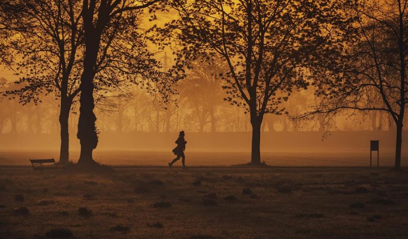 Cheltenham running loops