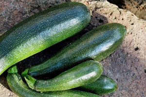 Grow Courgettes in Cheltenham